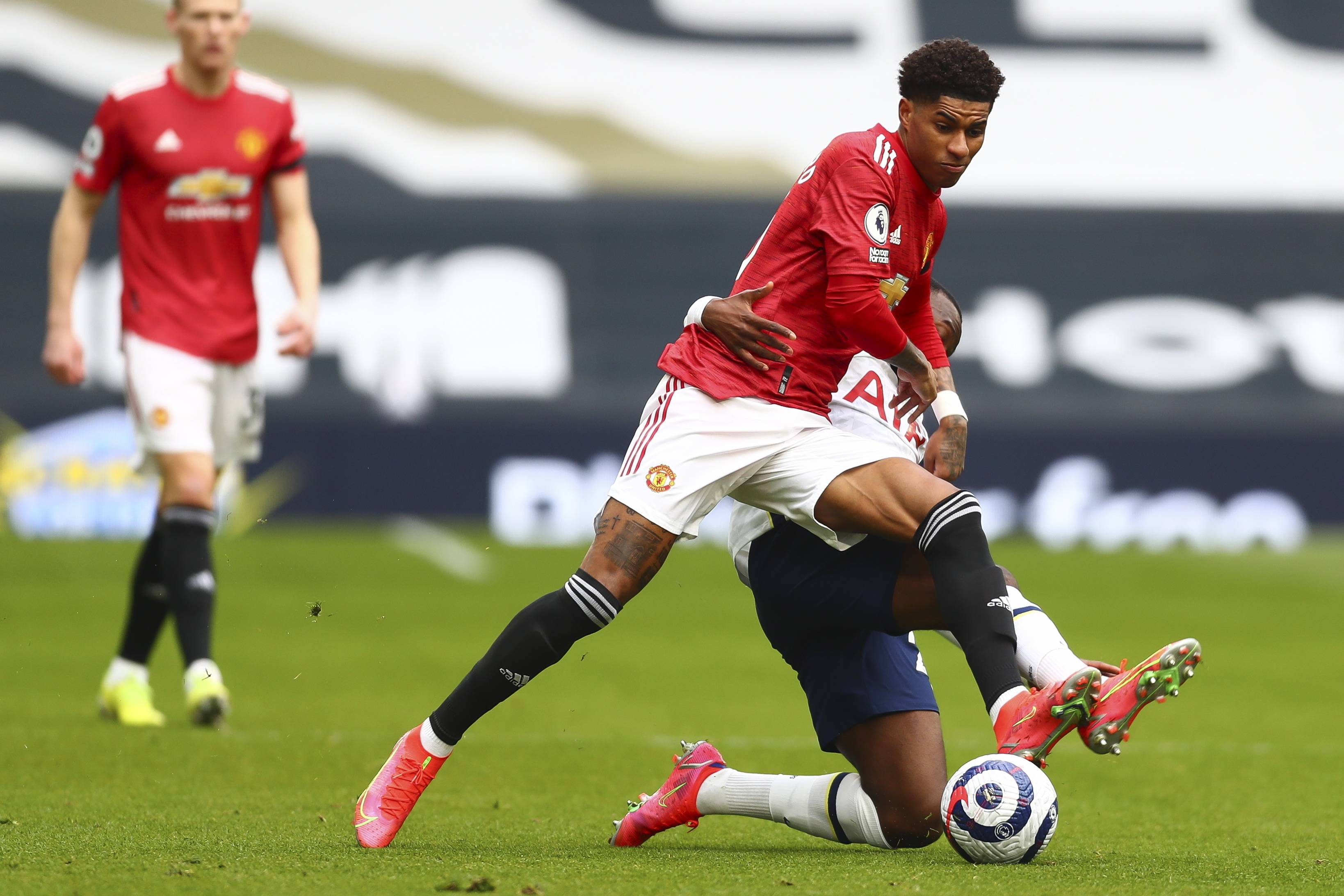 生涯背景 生涯背景